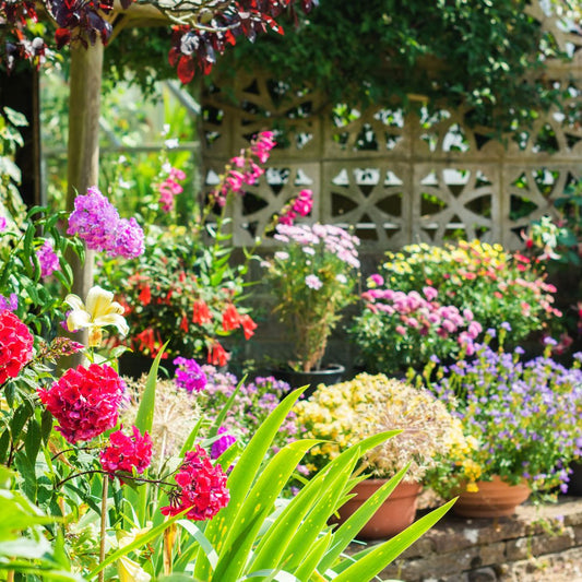 5 Must-Have Products to Elevate Your Garden Before Summer Ends